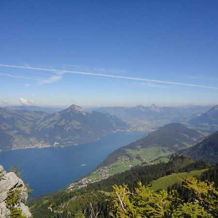 Hotel Vitznauerhof - Lifestyle Hideaway At Lake Lucerne Екстер'єр фото